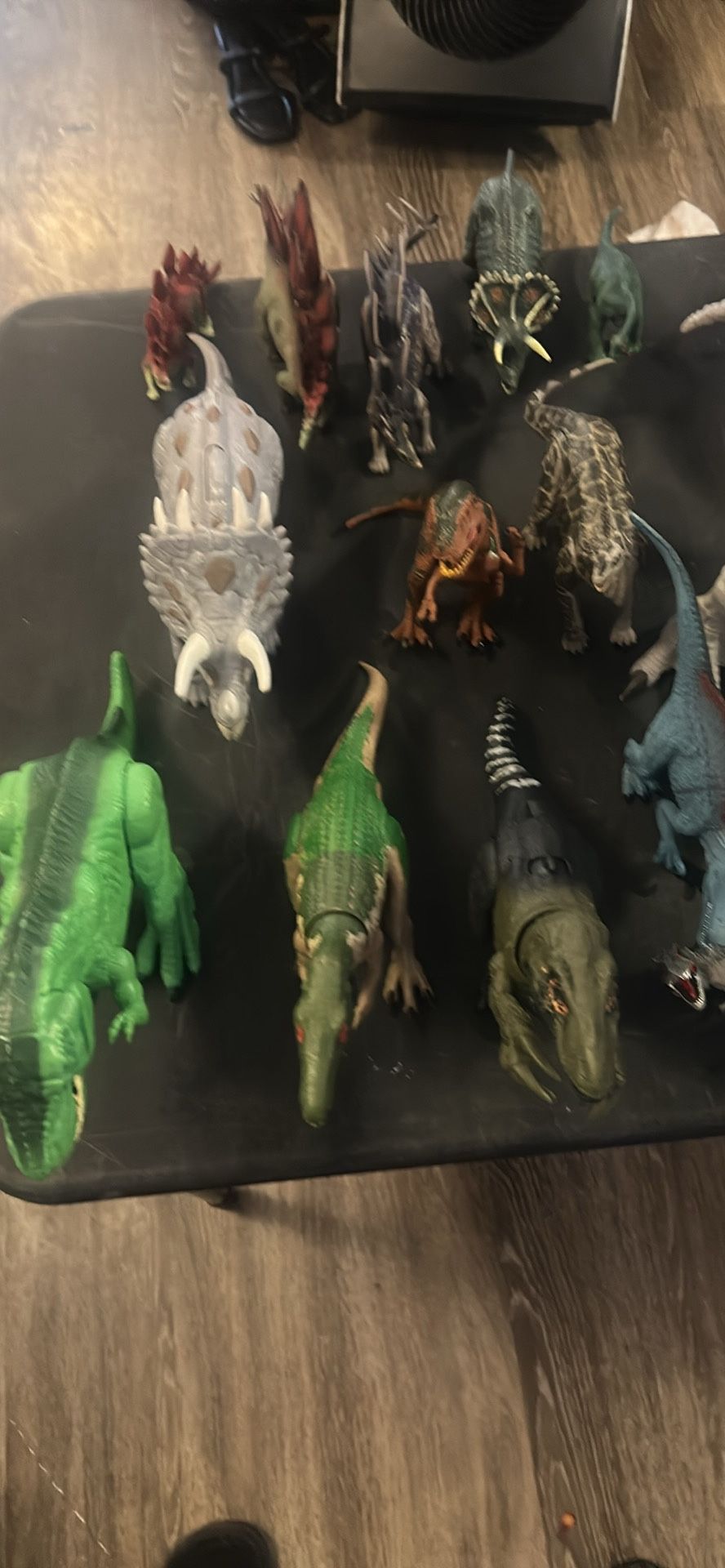 Dinosaurs