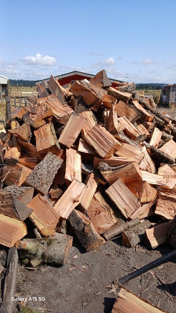 Fiŕewood