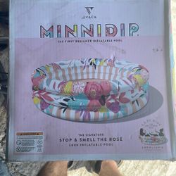 Mini Pool 