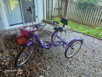 Tricycle for adults.