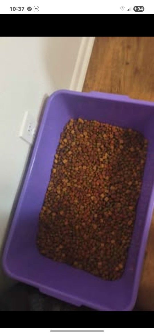 High Protein Husky Food
