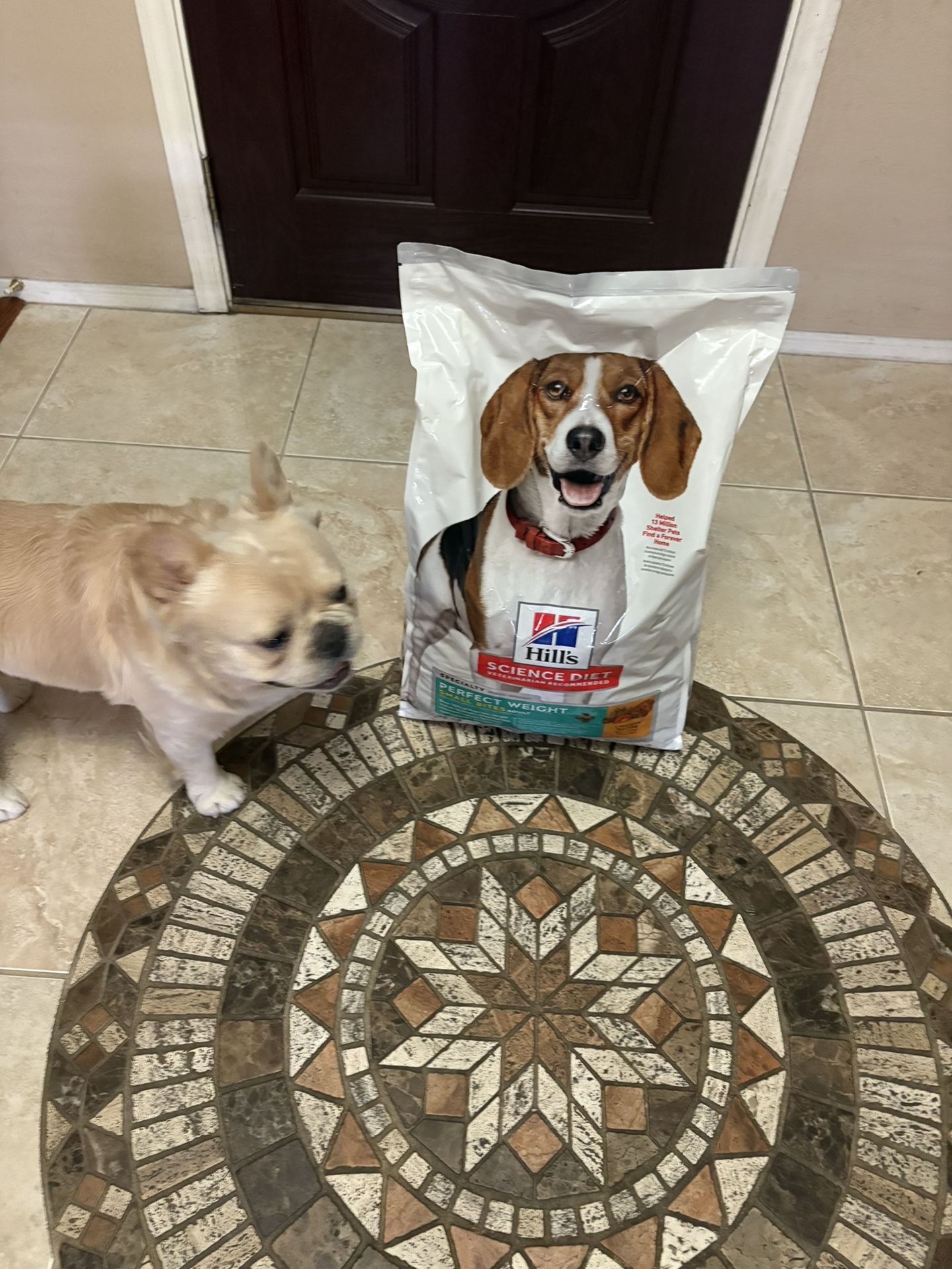 Science Diet ,Perfect Weight Adult Dog Food. NEW