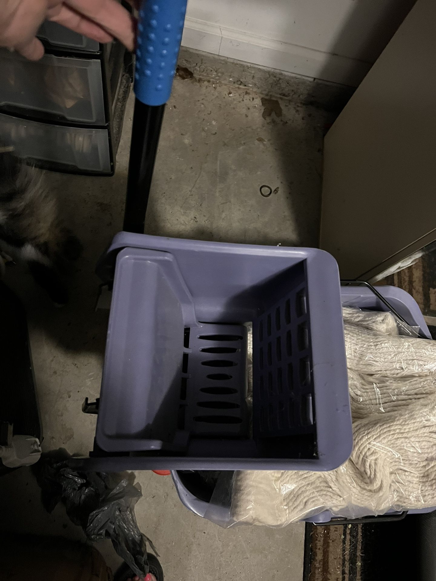 Professional bucket with squeezer and nine mops