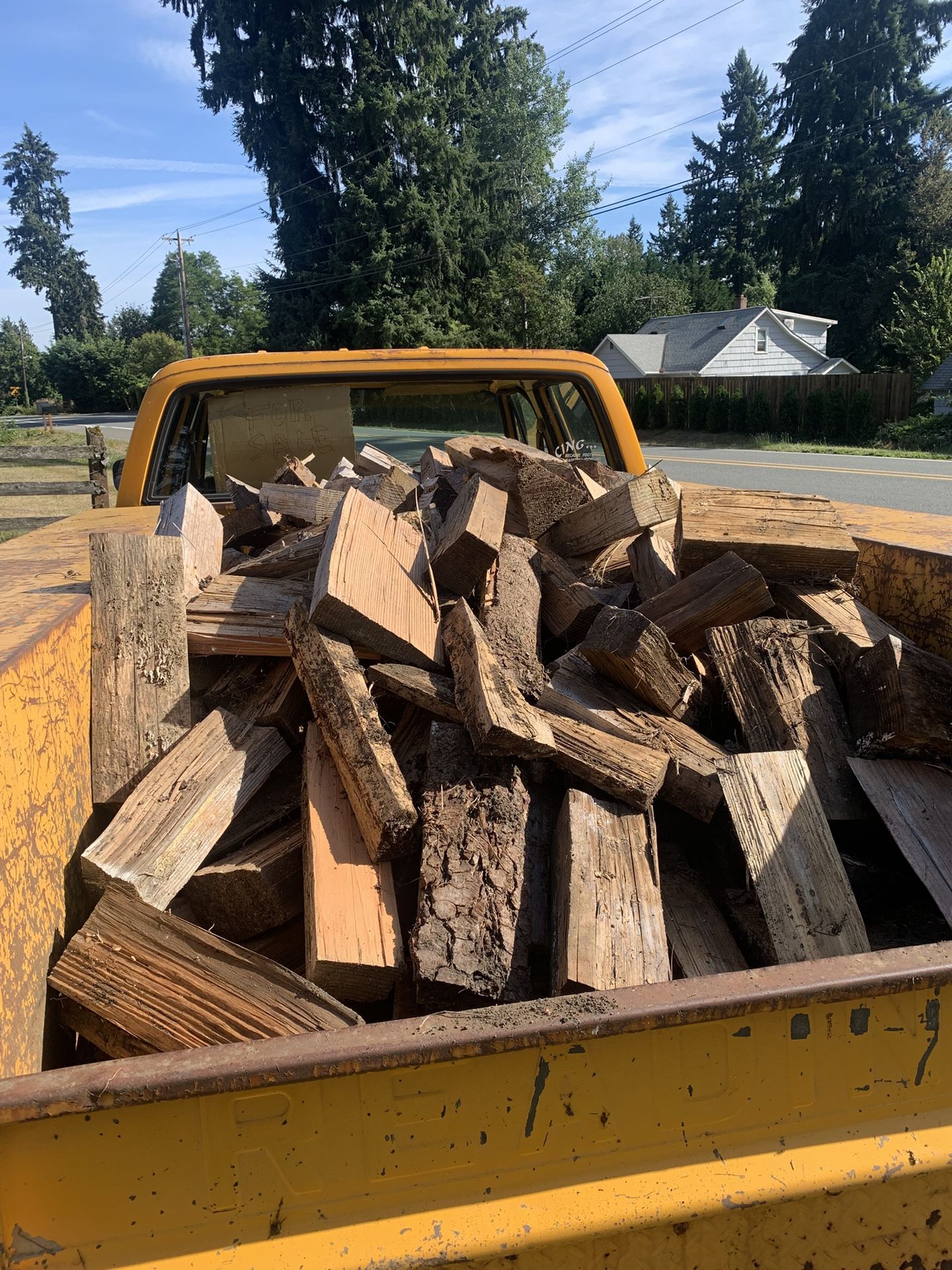 Lot Of Firewood 