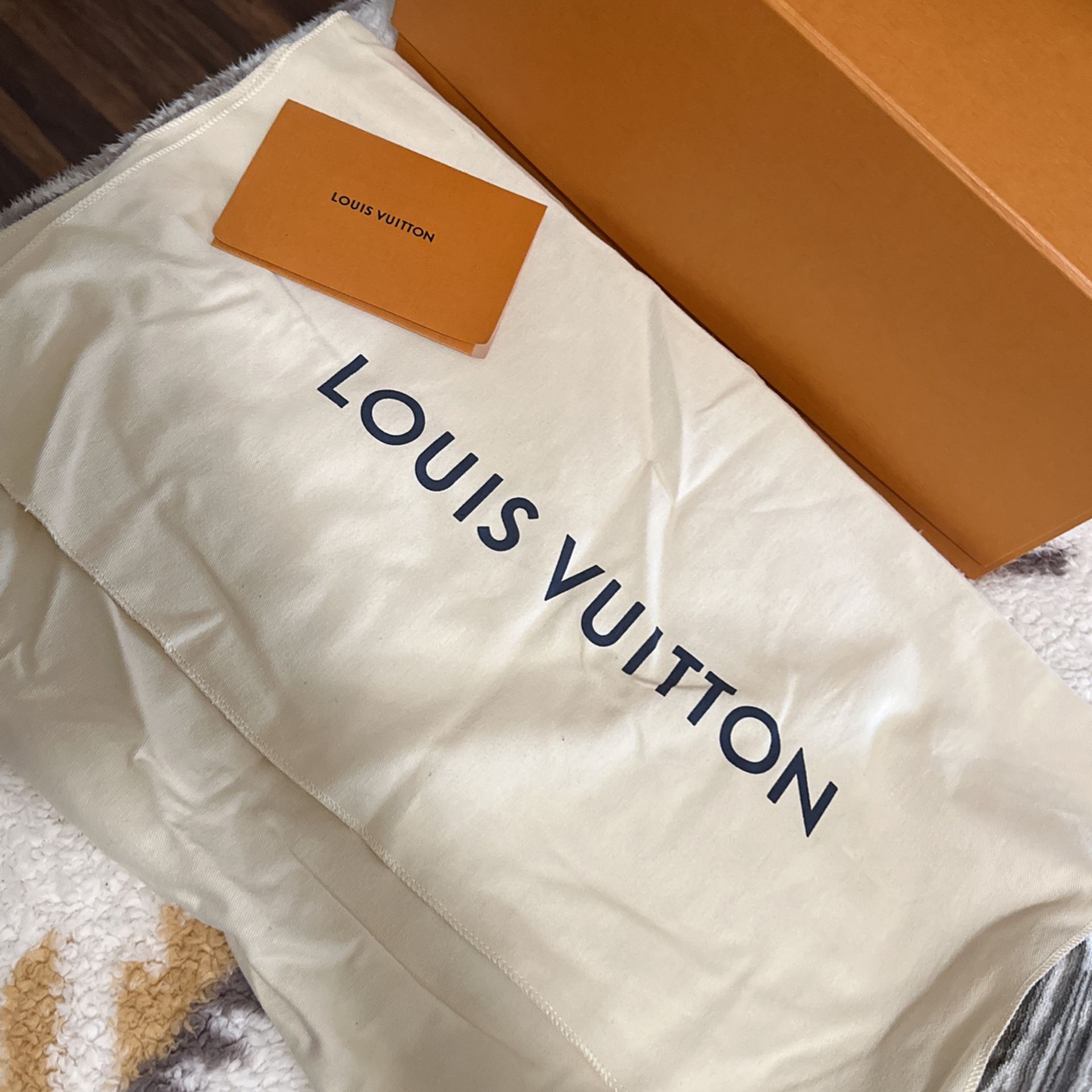 Louis Vuitton Maida Hobo Bag for Sale in Gilbert, AZ - OfferUp