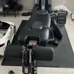 Bowflex revolution 