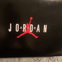 Air Jordan 9 Particle Grey Size 11