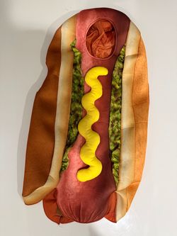 Hot Dog Halloween Costume (kids)