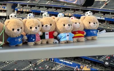 FIFA  bears