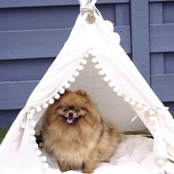 NEW 4Ft tall Sturdy Pet Teepee 🩵