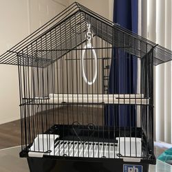 Bird Cage