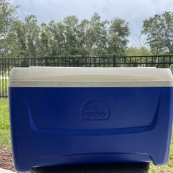 Igloo Cooler