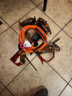 Tree Climbing Spikes 