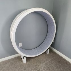 One Fast Cat Treadmill Wheel