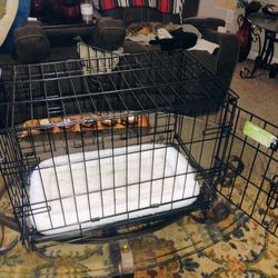 Small Animal Cage Padding Included 