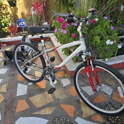 Trek Mountain Bike 21-Speed 