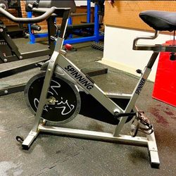 Exercise Spin Bike (Spinning L Series)