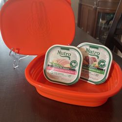 Large Orange Collapsible Pet Bowl