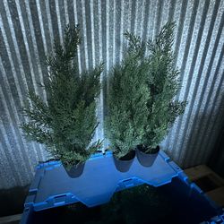 Small Fake Plants 