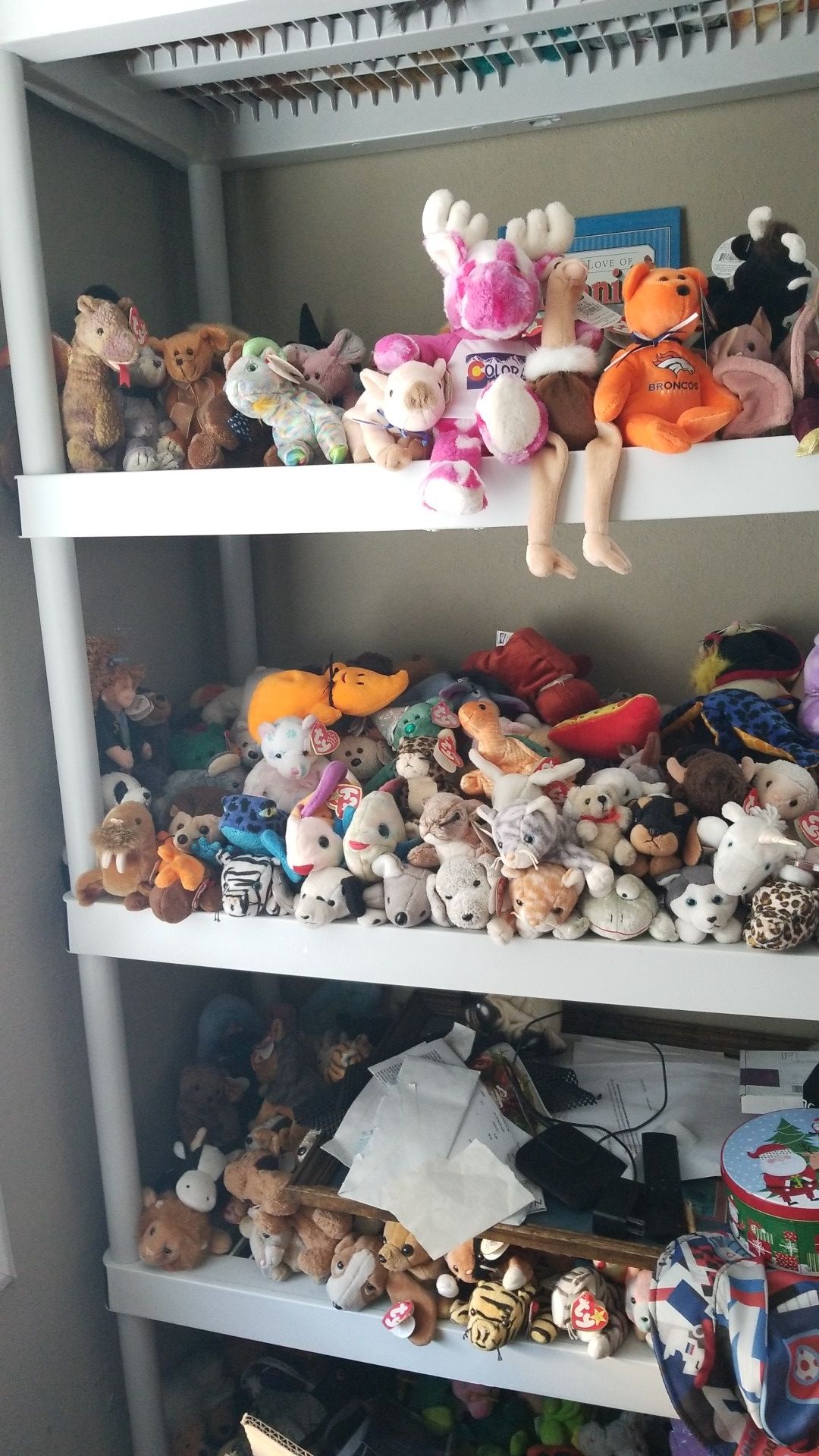 Big Beanie Baby collection