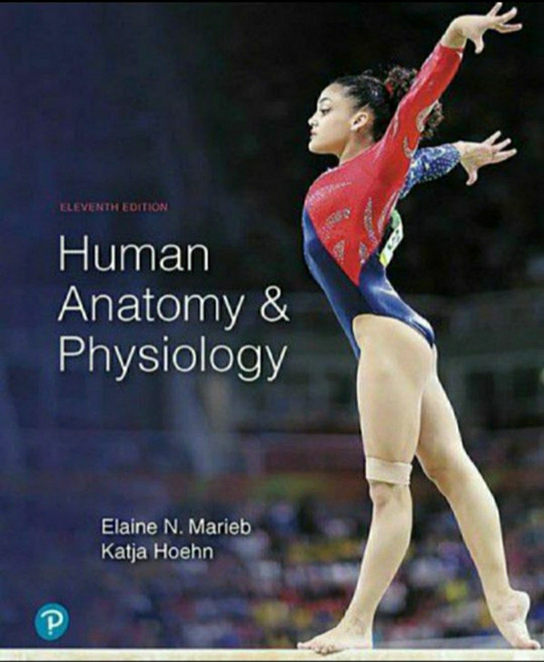 Human Anatomy and Physiology 11th ed by Elaine N. Marieb and Katja N. Hoeh 9780134580999 eBook PDF Free instant Delivery