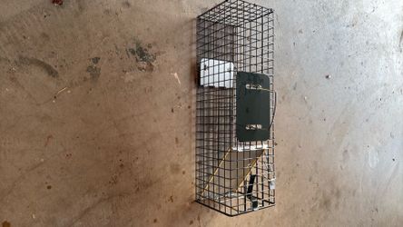 Small animal trap