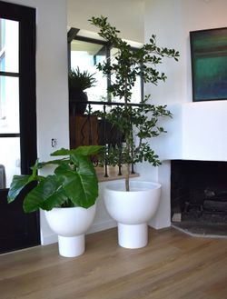 Set Of 2 Beautiful Fiberglass Planters