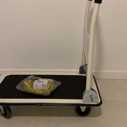 Foldable Push/pull Cart W/bungee