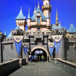 Need 9 Disneyland Tickets 1 Day 1 Park 