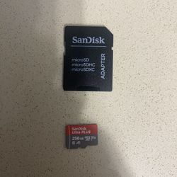 San Disk: Adapter And 256gb