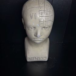 Phrenology Bust