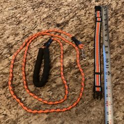 Dog Collar And Leash