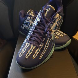 Kobe V Protro X-ray 