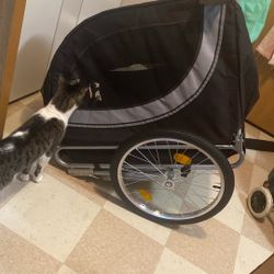 BlackDanrelax Dog Bike Trailer 55", XLarge