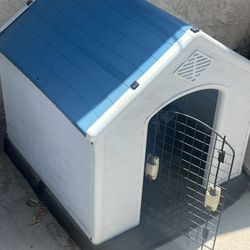 Dog House 