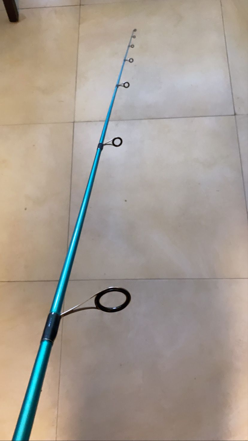Inshore extreme spinning rod