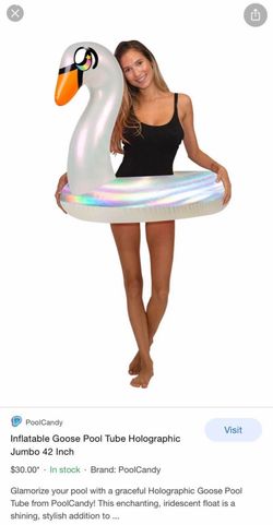Holographic goose pool tube