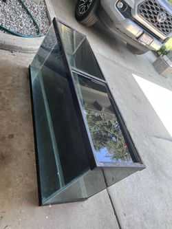 Fish Tank