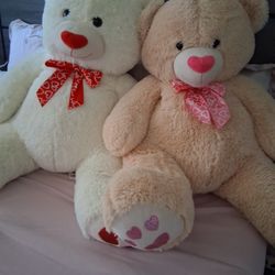 Big Teddy Bear