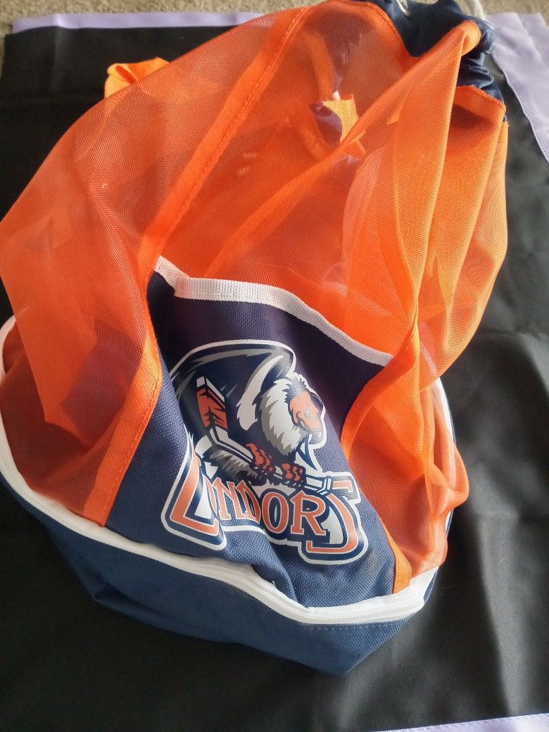 Bakersfield Condors Bag/Cooler SEE DESCRIPTION AND PHOTOS 