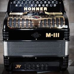 Accordion Accordionista 