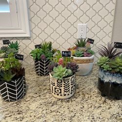 Faux Succulent Arrangements 