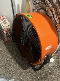 Fan