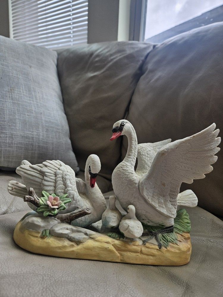 Extremely Rare Swan with Babies