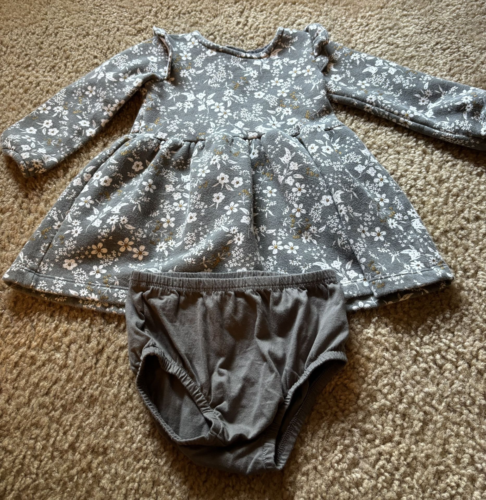 Baby Girl’s 24 Months Gray Floral Long Sleeve Dress
