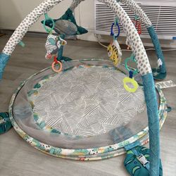 Baby Gym/ Activity Center