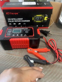 Intelligent Pulse Repair Charger 