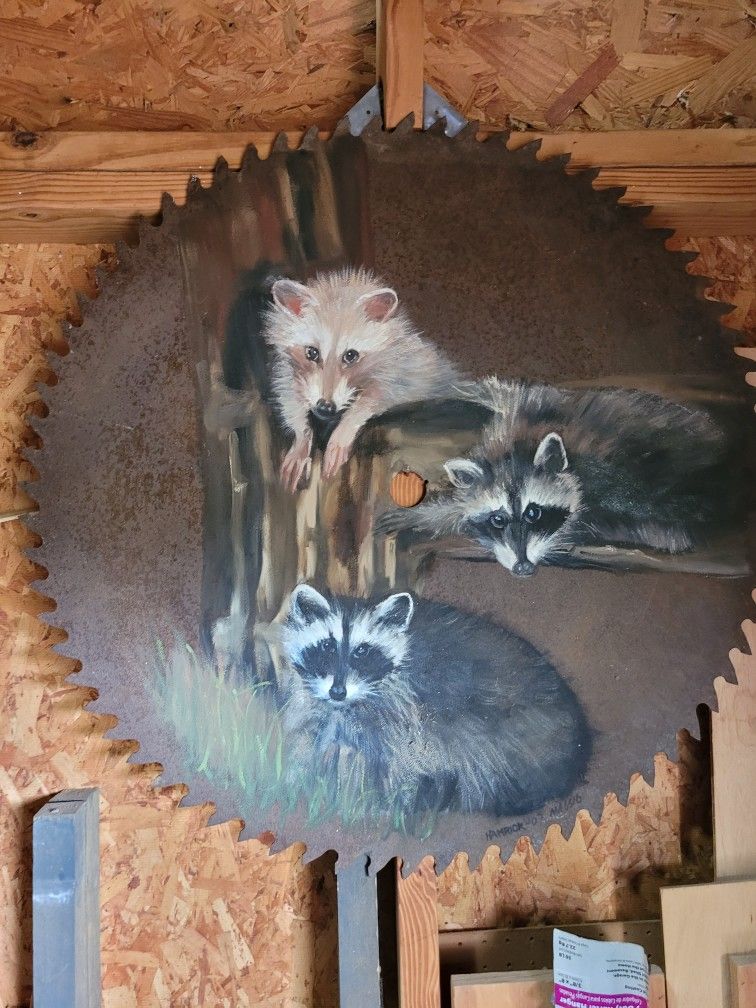 Raccoon Saw Blade