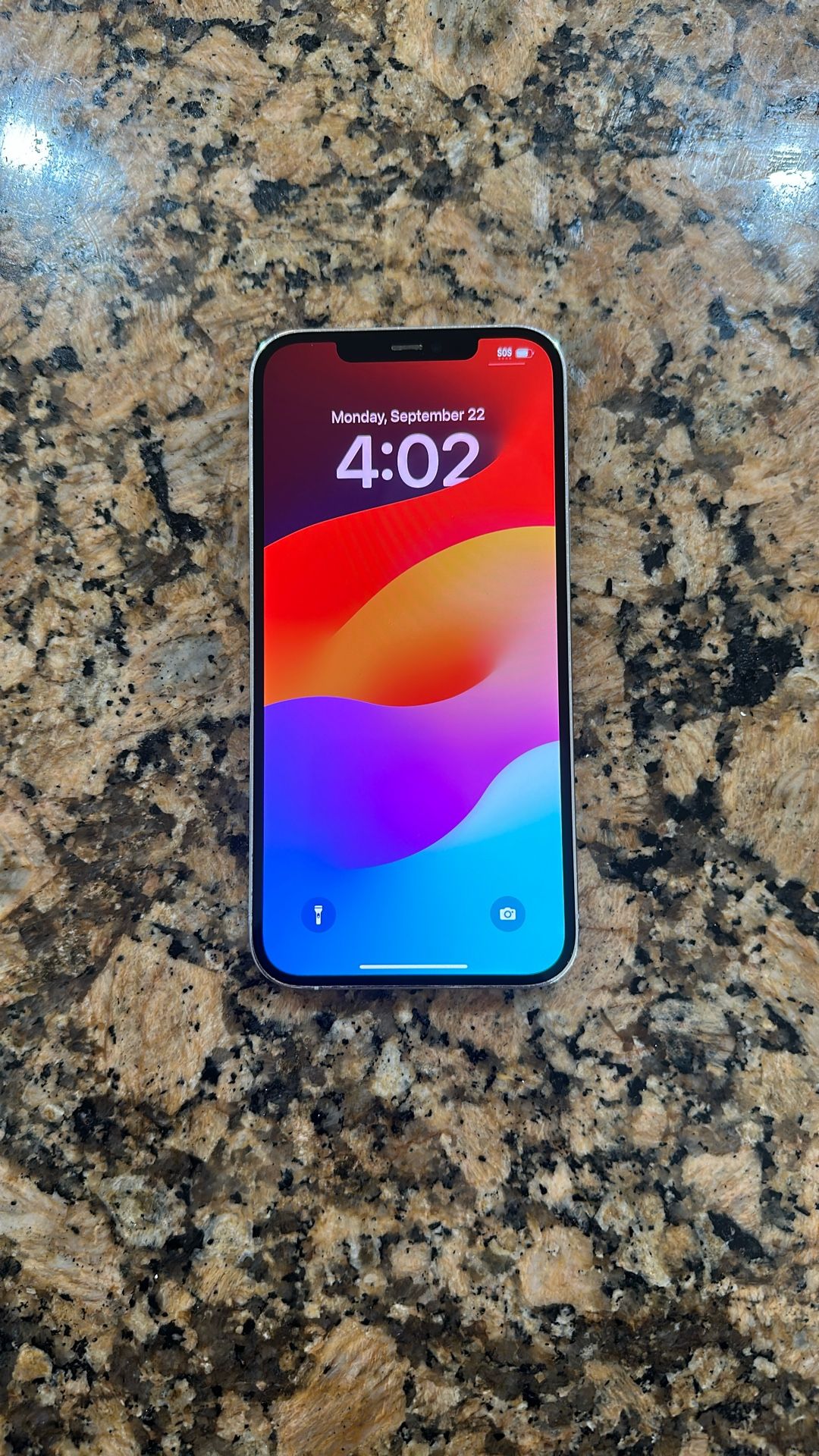 iPhone 12 Pro Max (256 GB)
