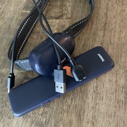 Dog Shock Collar